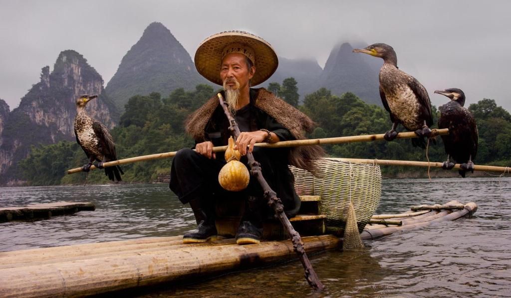 Рыбак с бакланами. Китай. Фото Ашера Свиденски