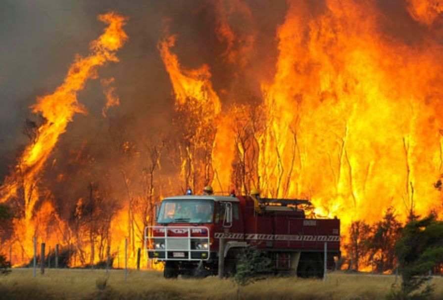 МЧС России: площадь пожаров в сибирских лесах сократилась на 10 процентов