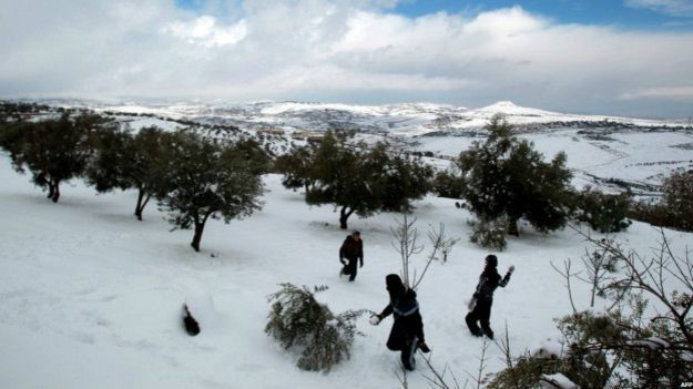 Палестинские дети играют в снегу в деревне Туку близ города Вифлеем