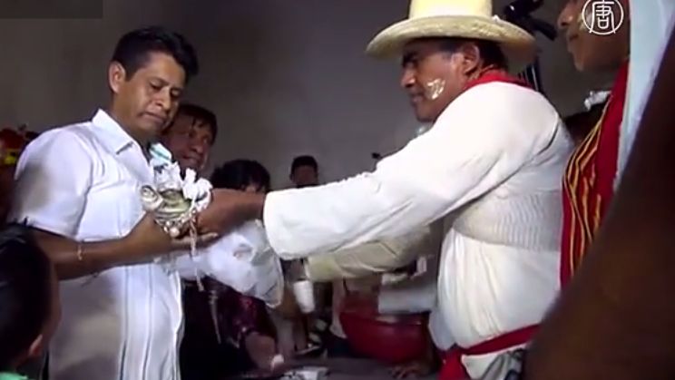 Жениться на крокодиле. Необычная свадьба мэра мексиканского города