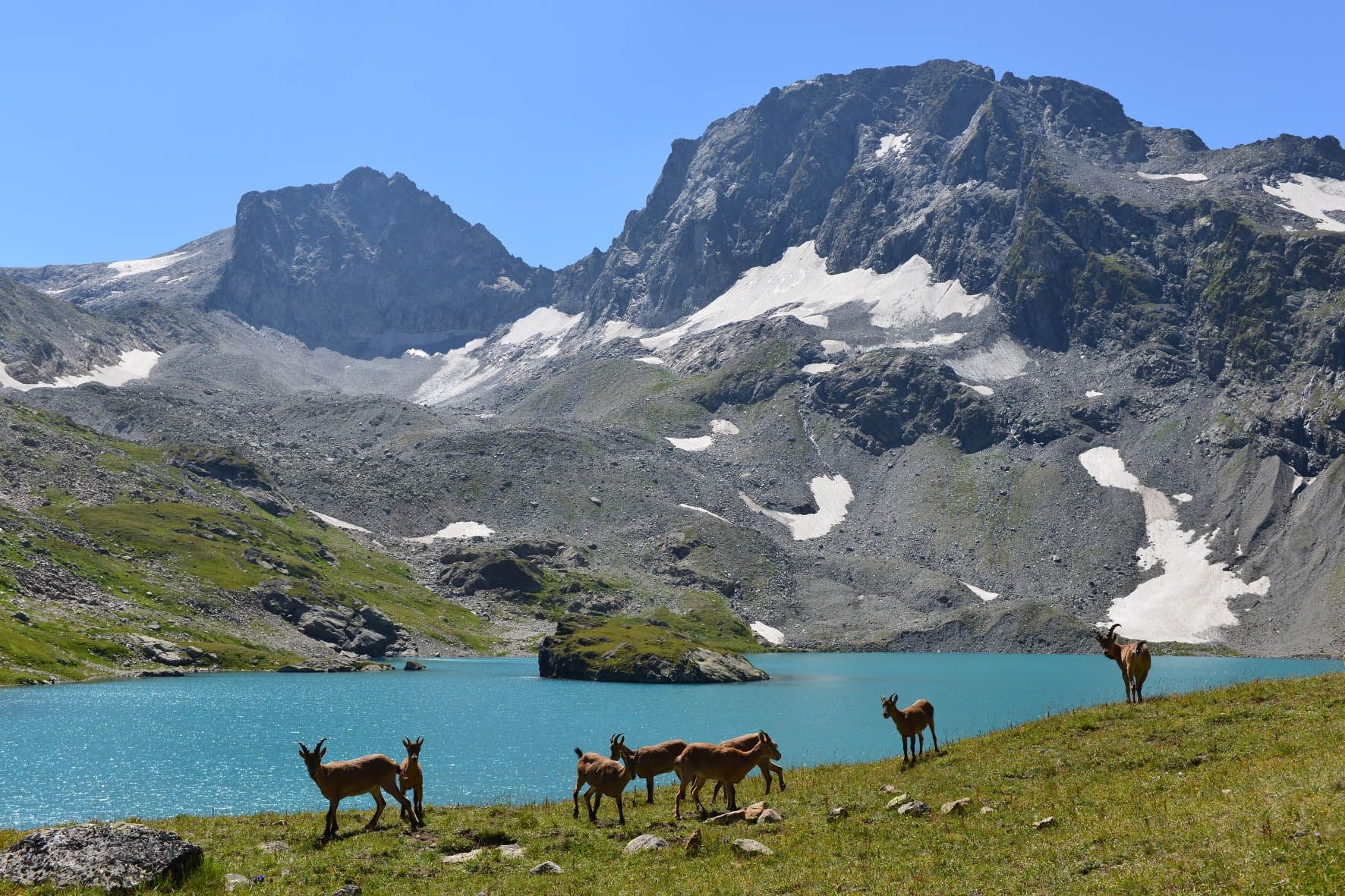 Кавказский природный атмосферный заповедник - самая большая и старейшая охраняемая природная территория на Северном Кавказе