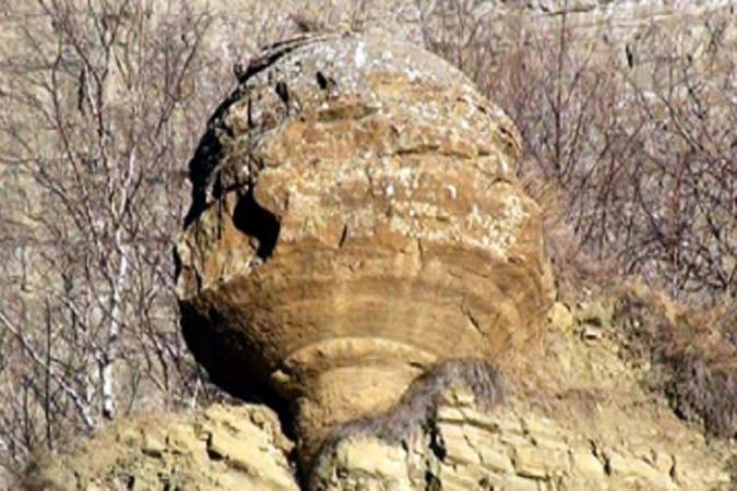 Гигантская окаменелость, найденная в горах Чечни. Фото пресс-службs главы ЧР