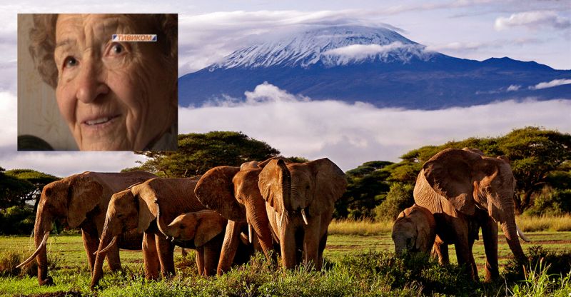 Килиманджаро в 86 лет: пенсионерка из Улан-Удэ претендует на новый рекорд Гиннесса