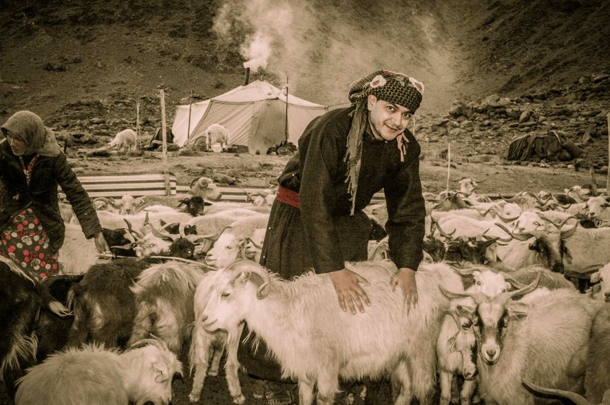 Аналитик из Индии променял престижную работу в офисе на жизнь пастуха в горах