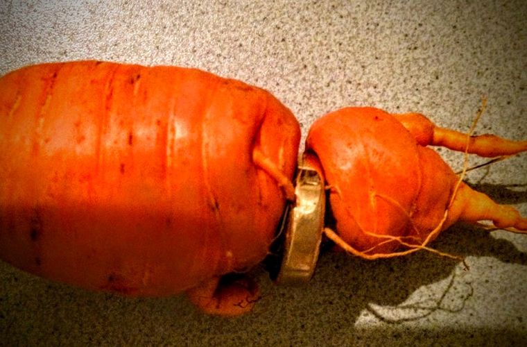 Морковь вернула дедушке в Германии потерянное обручальное кольцо
