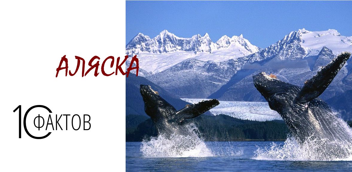 Великолепная десятка фактов об Аляске 