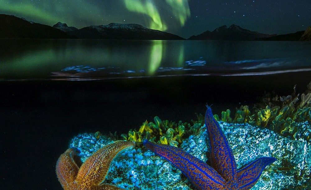 Звёзды из двух миров, Тромсё, Норвегия. Автор фото - Аудун Рикардсен - копия