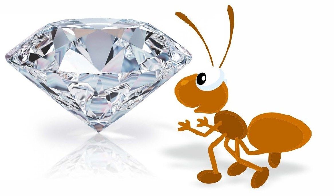 В Италии муравей едва не украл крупный бриллиант