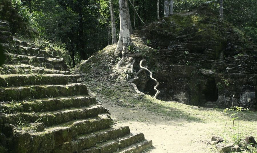 В Гватемале нашли десятки городов цивилизации майя