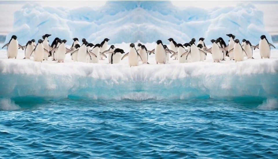Площадь морского льда в Антарктике рекордно уменьшилась