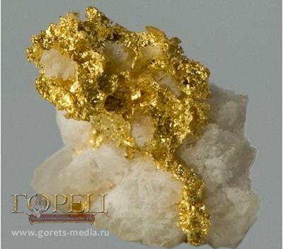 В горах Северной Осетии начались поиски рудного золота