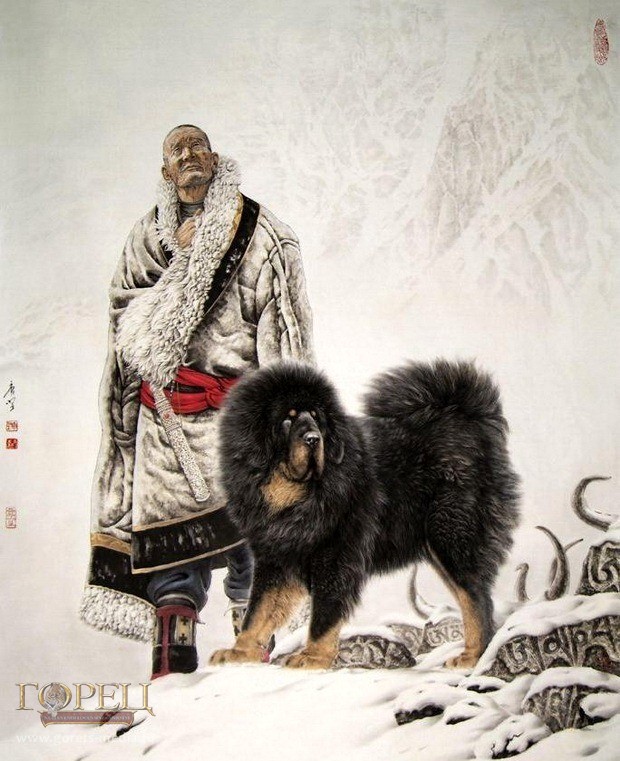 Тибетский мастиф на картинах китайского художника Тан Цзян, выполненных в стиле гохуа (тушь и водяные краски на шёлковых бумагах)