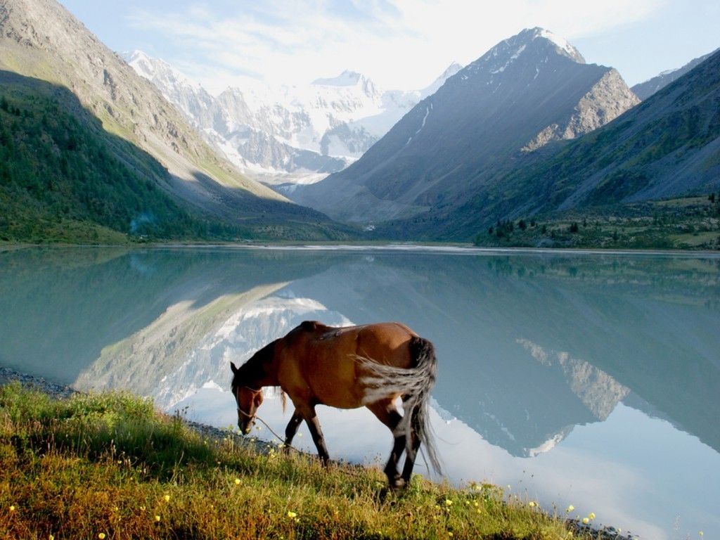 В Алтайском крае открыли летний туристический сезон