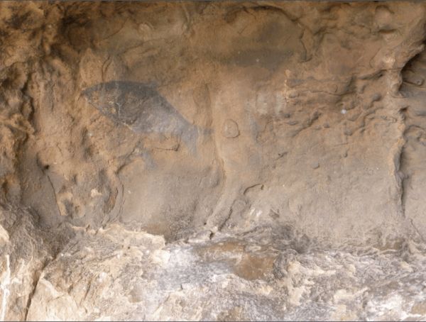 В Африке обнаружили наскальные рисунки древних бушменов