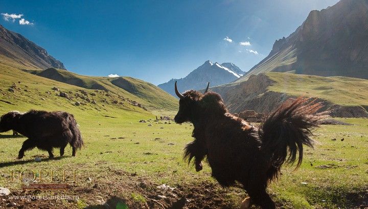 Самые высокие вершины Кыргызстана