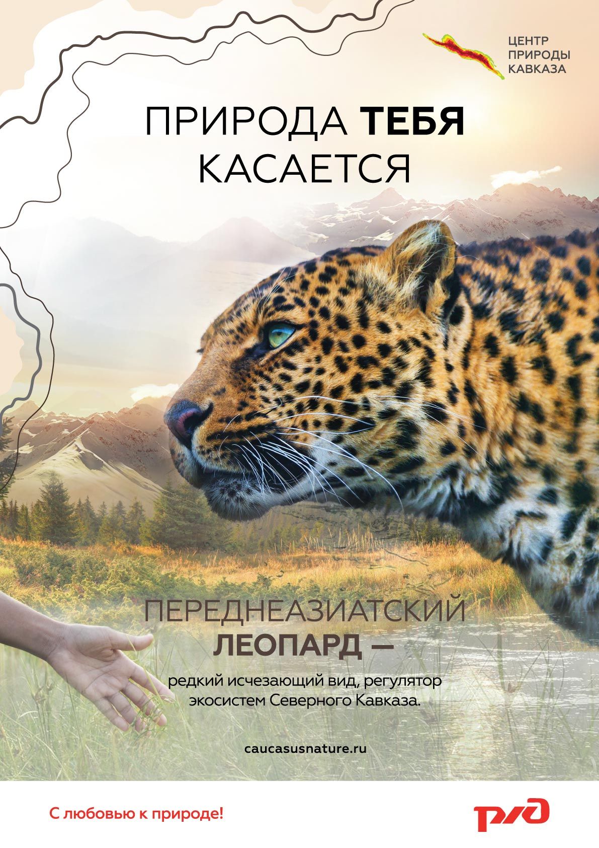 В поездах РЖД расскажут о редких видах животных и растений Кавказа