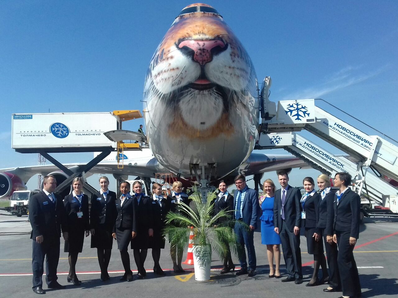 Двухэтажный «тигролет» приземлился в аэропорту Новосибирска 