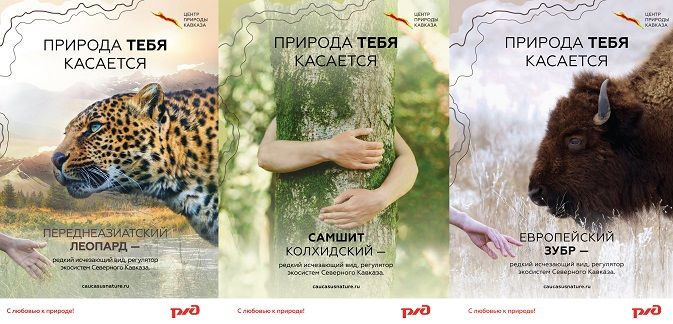 В поездах РЖД расскажут о редких видах животных и растений Кавказа