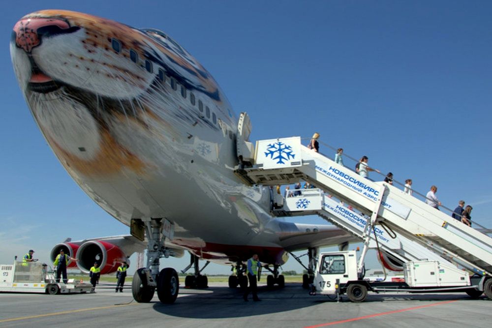 Двухэтажный «тигролет» приземлился в аэропорту Новосибирска 