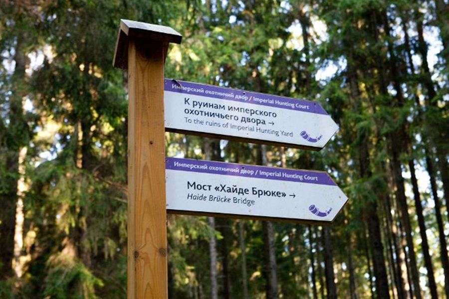 Маршрут на гору Дозор появится в парке Виштынецкий