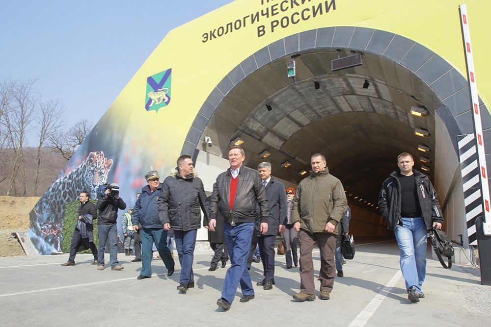 Первый в России экологический тоннель открыли в Приморье