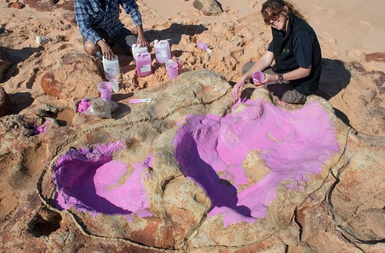 Множество следов динозавров нашли в Австралии