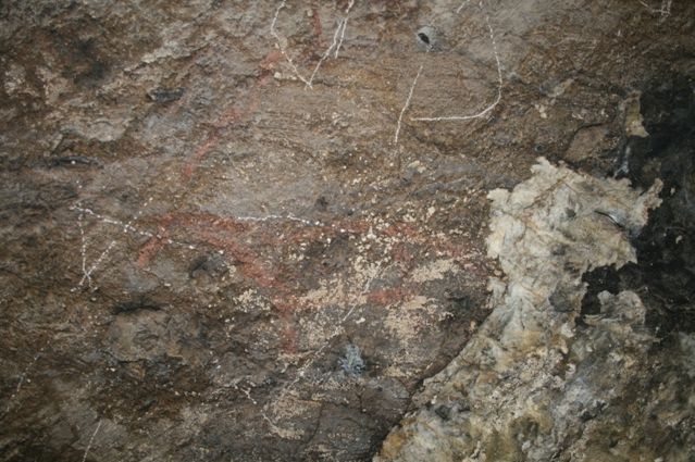 Изображение винторогой антилопы нашли в пещере на Алтае