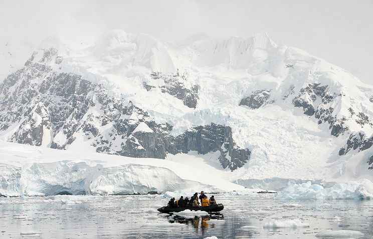 Ученые рассказали, откуда взялись водоросли в горах Антарктиды